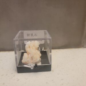 Stalactite Specimen in Display Case